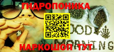 мдпв Обнинск