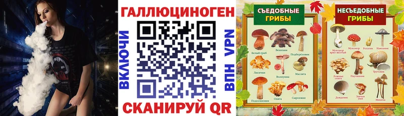 Галлюциногенные грибы Psilocybine cubensis  mega ONION  Сургут 