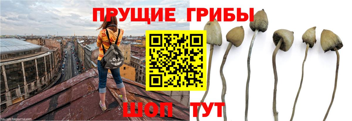 Гашиш  Alpha-PVP СОЛЬ кристаллы  Канабис  КОКАИН  Сургут  Вход с VPN  МЕФ кристаллы 