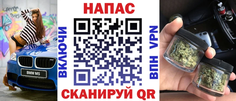 наркотики  Сургут  Конопля гибрид 